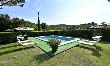 The Tuscan Pine 4