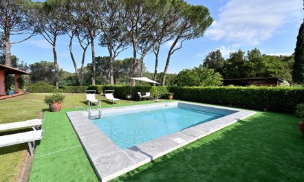 The Tuscan Pine 3