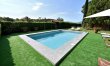 The Tuscan Pine 2
