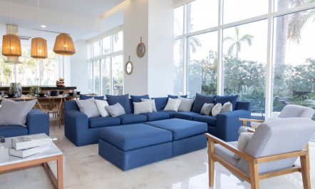 Ava and the Iguanas 2