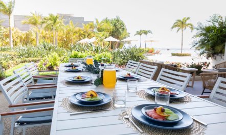 Ava and the Iguanas 1