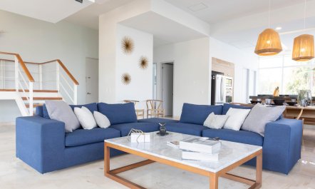 Ava and the Iguanas 5