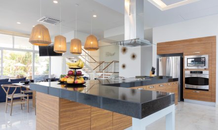 Ava and the Iguanas 7