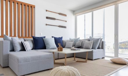 Ava and the Iguanas 3