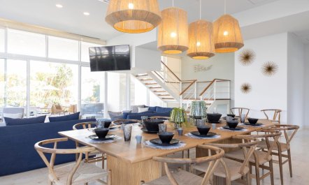 Ava and the Iguanas 9