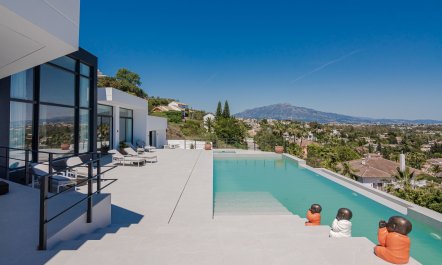 Mountains on the Mind