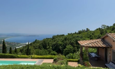 Vineyards & Olive Groves