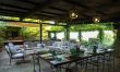 Vineyards & Olive Groves 5
