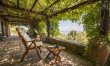 Vineyards & Olive Groves 4