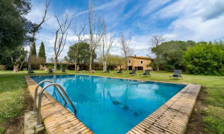 Blissful Sanctuary 4