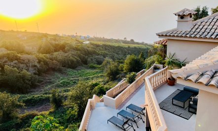 Blue & White Splendour 9