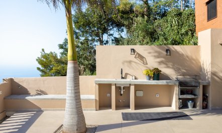 Blue & White Splendour 3