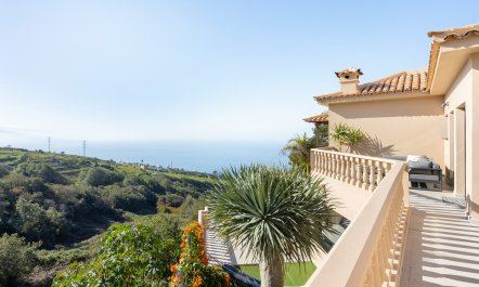 Blue & White Splendour 6