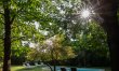 Serene Days 6