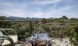 Natural Atmosphere 7