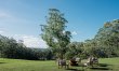 Earth Sanctuary 1