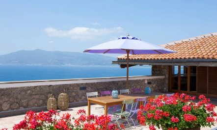 Seaside Geraniums 6
