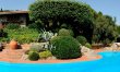 Seaside Geraniums 4