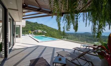 Jungle & Sea 3