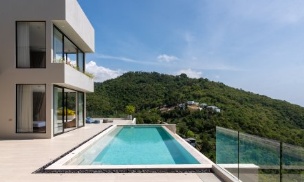 Jungle & Sea