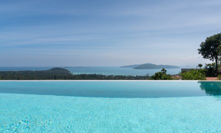 Jungle & Sea 2