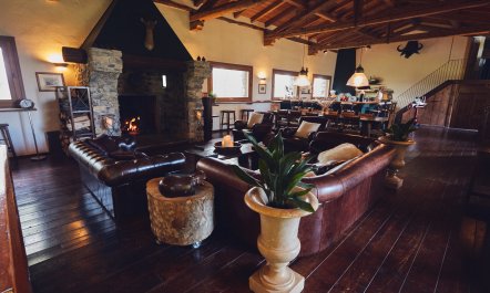 Forest View Chalet 2