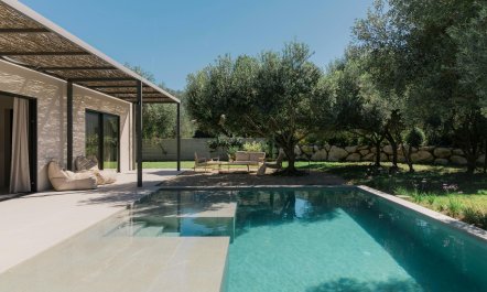 Olive Tree Estate