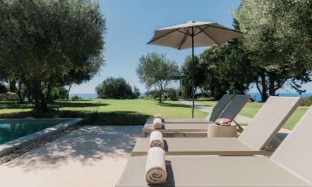 Olive Tree Estate 4