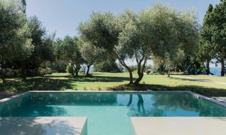 Olive Tree Estate 2
