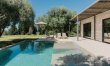 Olive Tree Estate 3