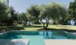Olive Tree Estate 2