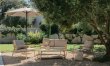 Olive Tree Estate 5