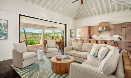 The Lush Lanai 1