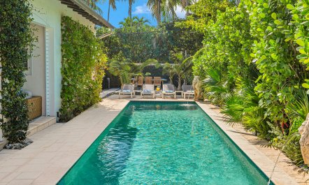 Floridian Oasis 2