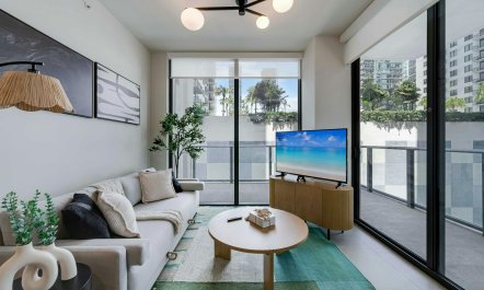 Miami in Motion