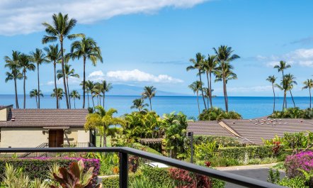 Pacific Ocean & Palms 1