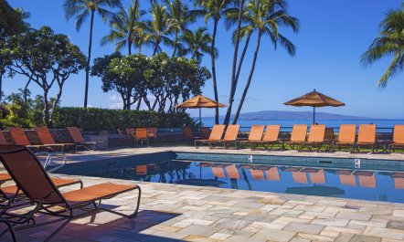 Pacific Ocean & Palms 5