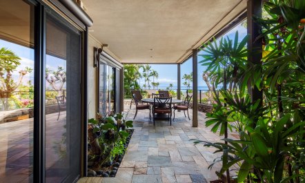 Pacific Ocean & Palms 2