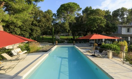 Olive Grove Abode