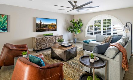 Sunny Phoenix Haven 6