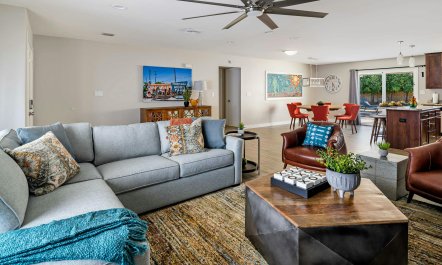 Sunny Phoenix Haven 5