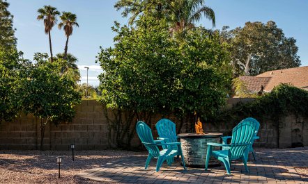 Sunny Phoenix Haven 2
