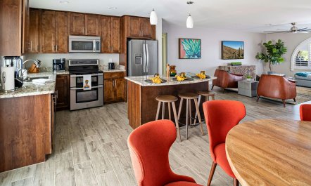 Sunny Phoenix Haven 8