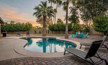 Sunny Phoenix Haven