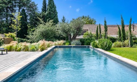 Olive Estate 2