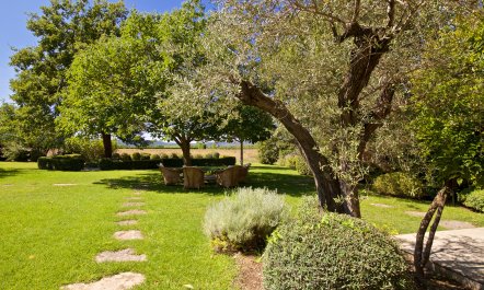 Lavender Vistas 6