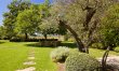 Lavender Vistas 6