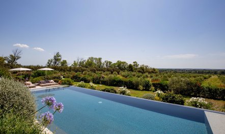 A Proven&ccedil;al Moment 4