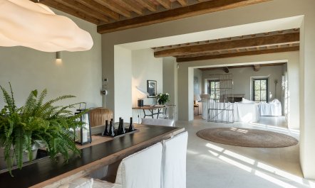 The Golden Vineyards 8