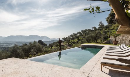 The Golden Vineyards 2